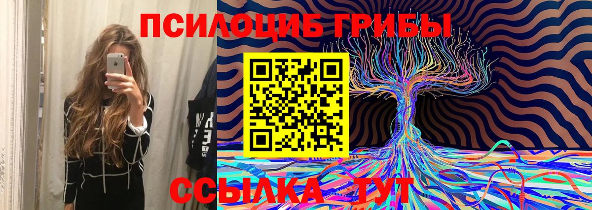 Галлюциногенные грибы Psilocybine cubensis  Вход с VPN  Коркино 